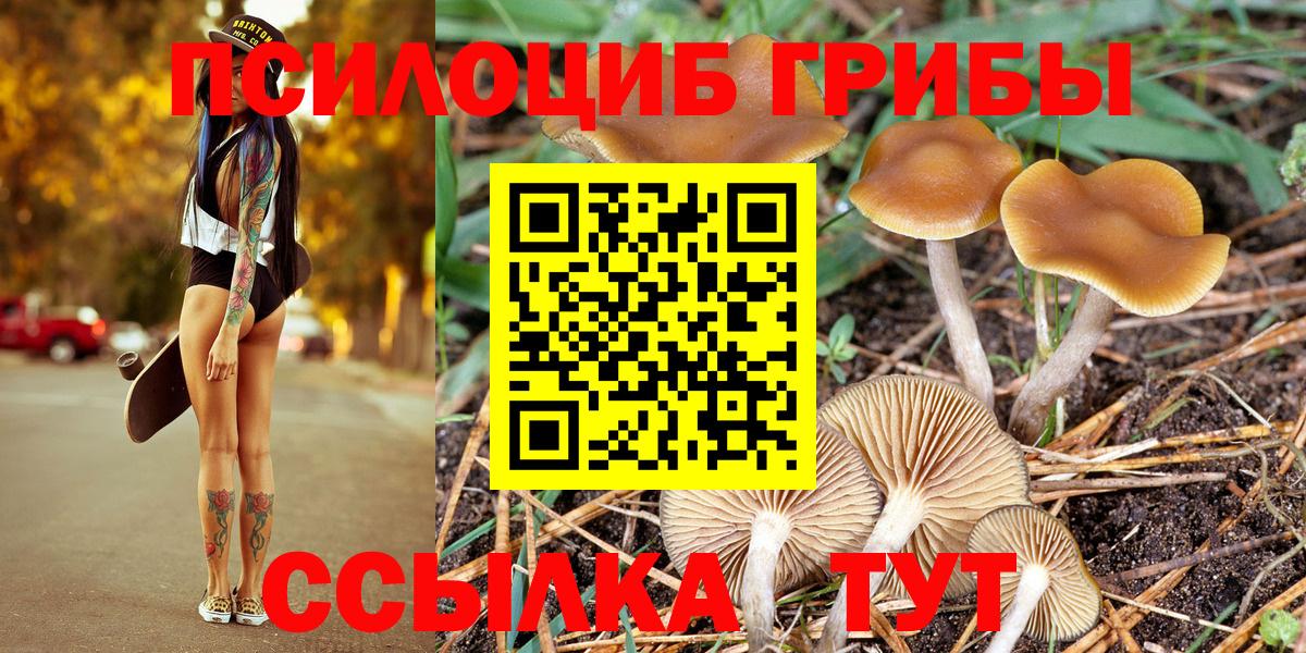Псилоцибиновые грибы Psilocybine cubensis  Галлюциногенные грибы прущие грибы  Вход с VPN  Спасск-Дальний 